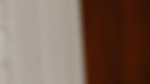 Existen sospechas de que Steve Bannon creó el SIG para seguir de cerca los pasos de Michael Flynn.