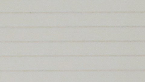 La emigración de centroamericanos a México y EEUU fue un tema entre autoridades mexicanas y estadounidenses.