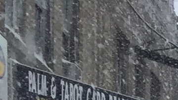 El Departamento de Sanidad pide a los neoyorquinos no usar autos para que sus camiones puedan limpiar