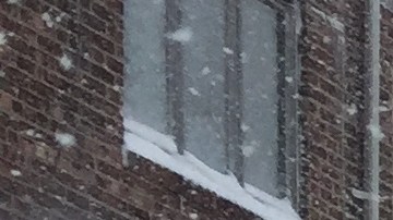 Los neoyorquinos debieron palear la nieve frente a sus casas