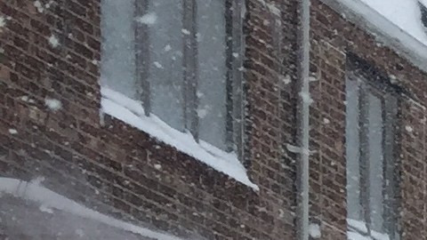 Los neoyorquinos debieron palear la nieve frente a sus casas