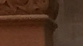 Inmigrantes de varias nacionalidades en una manifestación en  Albany.