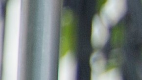 Malia Obama mantuvo un bajo perfil durante la presidencia de su padre, Barack Obama.