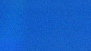 Habach no está de acuerdo con el giro que ha tomado el concurso desde que trump no es el dueño.