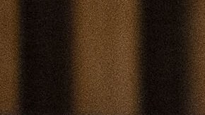 O'Neill envió el memo a los casi 36,000 miembros del NYPD.