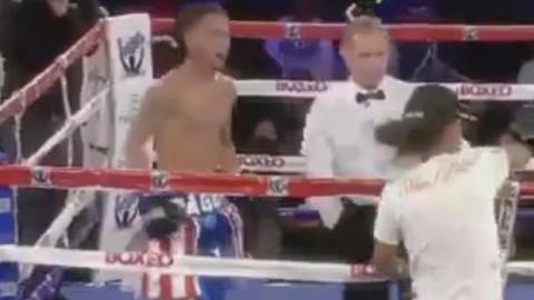 Boxeo