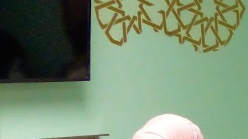 La mayoría de los musulmanes latinos son mujeres .conversas.