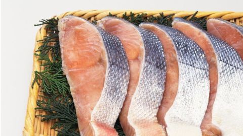salmon
