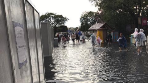 Así lucían las calles del parque.