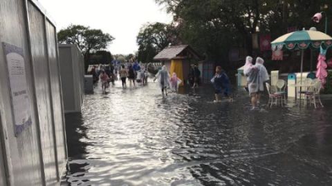 Así lucían las calles del parque.