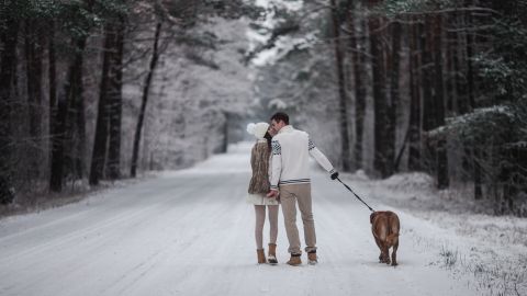 pareja perro