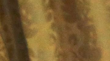 El presidente Donald  Trump firma una orden ejecutiva para revisar la reforma financiera de 2010, la ley Dodd Frank./Efe