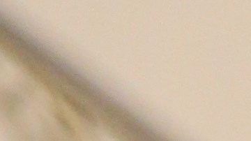 Lorelei Salas, Comisionada del departamento de Asuntos del Consumidor. Mujeres en City Hall.