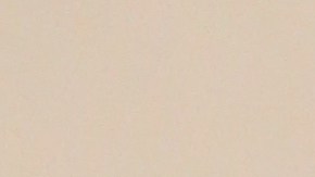 Lorelei Salas, Comisionada del departamento de Asuntos del Consumidor. Mujeres en City Hall.