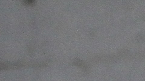 Jariel Vega de 6 años, realiza una vez a la semana la terapia equina en Gallop NYC en Queens con sus padres, Sheila y Paddy Vega.