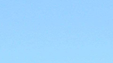 Protesta de "Un Dia sin Mujeres" donde miles de mujeres marcharon en Midtown Manhattan y la organizadora de La Marcha de Washington Carmen Perez fue arrestada en frente de Trump International Hotel.