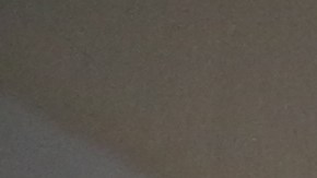 Inquilina Guadalupe Hernandez y su familia estan siendo victimas del casero que deja sin reparar su departamento.