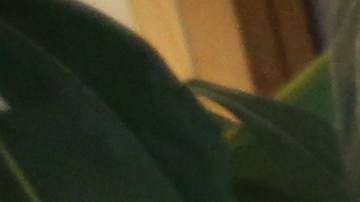 Arquitecto Ismael Leyva en su oficina en Midtown.