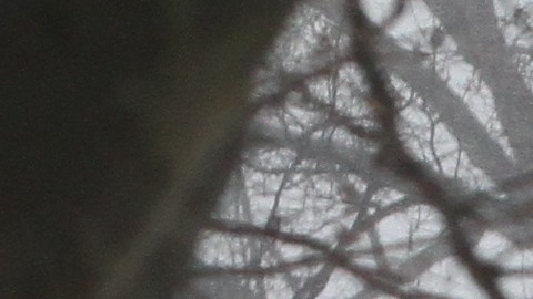 Tormenta de nieve Stella llega a Nueva York.