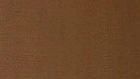 El gobierno japonés ha difundido la información entre sus habitantes.