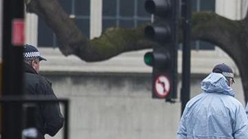 Miembros de la policía forense inspeccionan los alrededores del Parlamento en Londres.