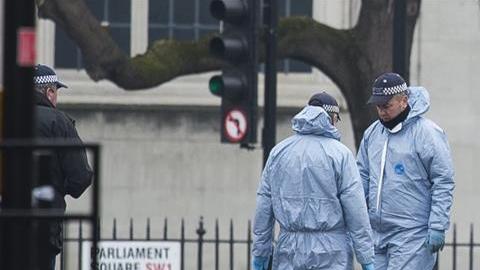 Miembros de la policía forense inspeccionan los alrededores del Parlamento en Londres.
