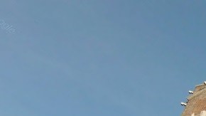 Un juez de Manhattan rechazó la demanda de un grupo de arrendadores.