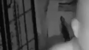 El sujeto fue detenido por la Policía en Flushing.