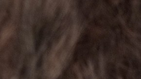 Las tarjetas de débito para pagos de nóminas están cargadas de comisiones./Shutterstock