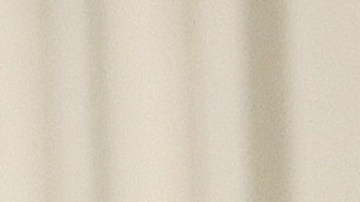 El presidente Donald Trump y el exfiscal Preet Bharara.