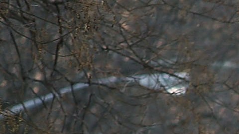 La severa tormenta de nieve que se avecina obligó a suspender las clases en NYC
