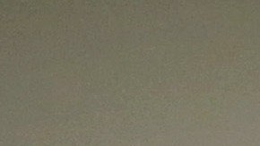 La USCIS indica que sus oficinas operan con regularidad para las diferentes solicitudes.