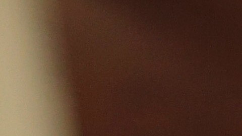 USCIS confía en responder las solicitudes antes del periodo límite para cada proceso, que es de hasta 240 días.