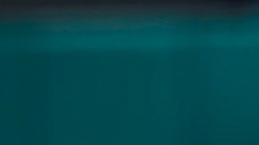 Clásico Mundial de Béisbol 2017