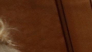 Jeff Sessions es acusado de mentir sobre Rusia durante su comparecencia ante el Senado.