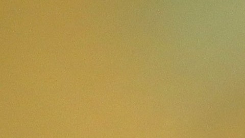 Charles Schumer le reclamó a la hija del fundador de CBS que haya votado por Trump.