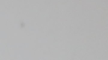 El presidente Donald Trump vigila si los miembros de su Gabinete le son leales.