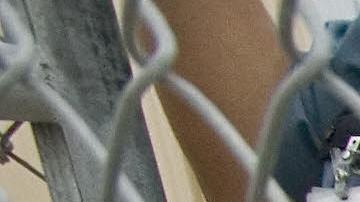 Para salir de cárceles de ICE, los indocumentados deben pagar miles de dólares de fianza.