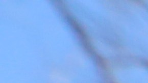 El mexicano R. Hernández  sacó el IDNYC hace poco.