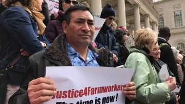 El guatemalteco José Ventura, quien trabaja en una granja agrícola de Nueva York, pide que Albany apruebe una ley de beneficios