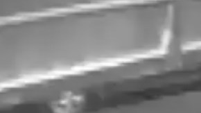 El video fue publicado por la NYPD en Twitter.
