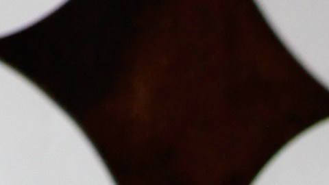 El actor admite que le han afectado seriamente los comentarios de algunos seguidores.