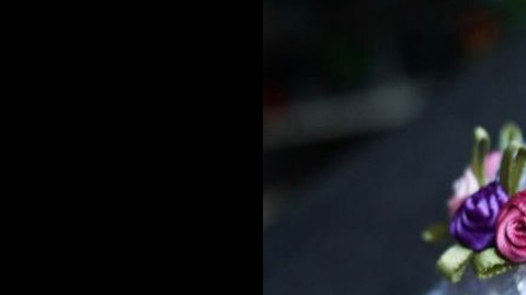 loro-desplumado