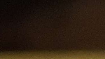 El concejal Carlos Menchaca, presidente del Comité de Inmigración, fue uno de los participantes en la audiencia.