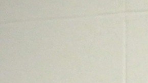 Pamela Berrios en el centro junto con más  miembros activos y ya retirados de la ejecutiva  de la National Hispanic Landscape Alliance que ella preside./Cortesía