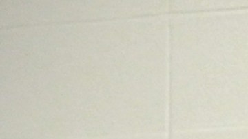 Pamela Berrios en el centro junto con más  miembros activos y ya retirados de la ejecutiva  de la National Hispanic Landscape Alliance que ella preside./Cortesía