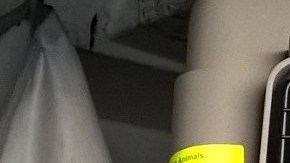 La jaula donde viajaba el perro tenía un doble fondo con la droga.