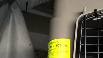 La jaula donde viajaba el perro tenía un doble fondo con la droga.