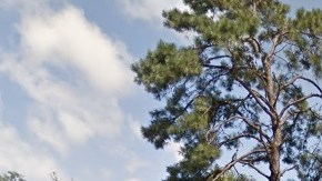 Las gemelas fueron encontradas muertas en su apartamento en el condominio The Pines  en Lindenwold, Nueva Jersey.