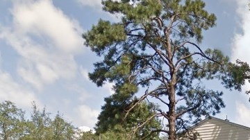 Las gemelas fueron encontradas muertas en su apartamento en el condominio The Pines  en Lindenwold, Nueva Jersey.